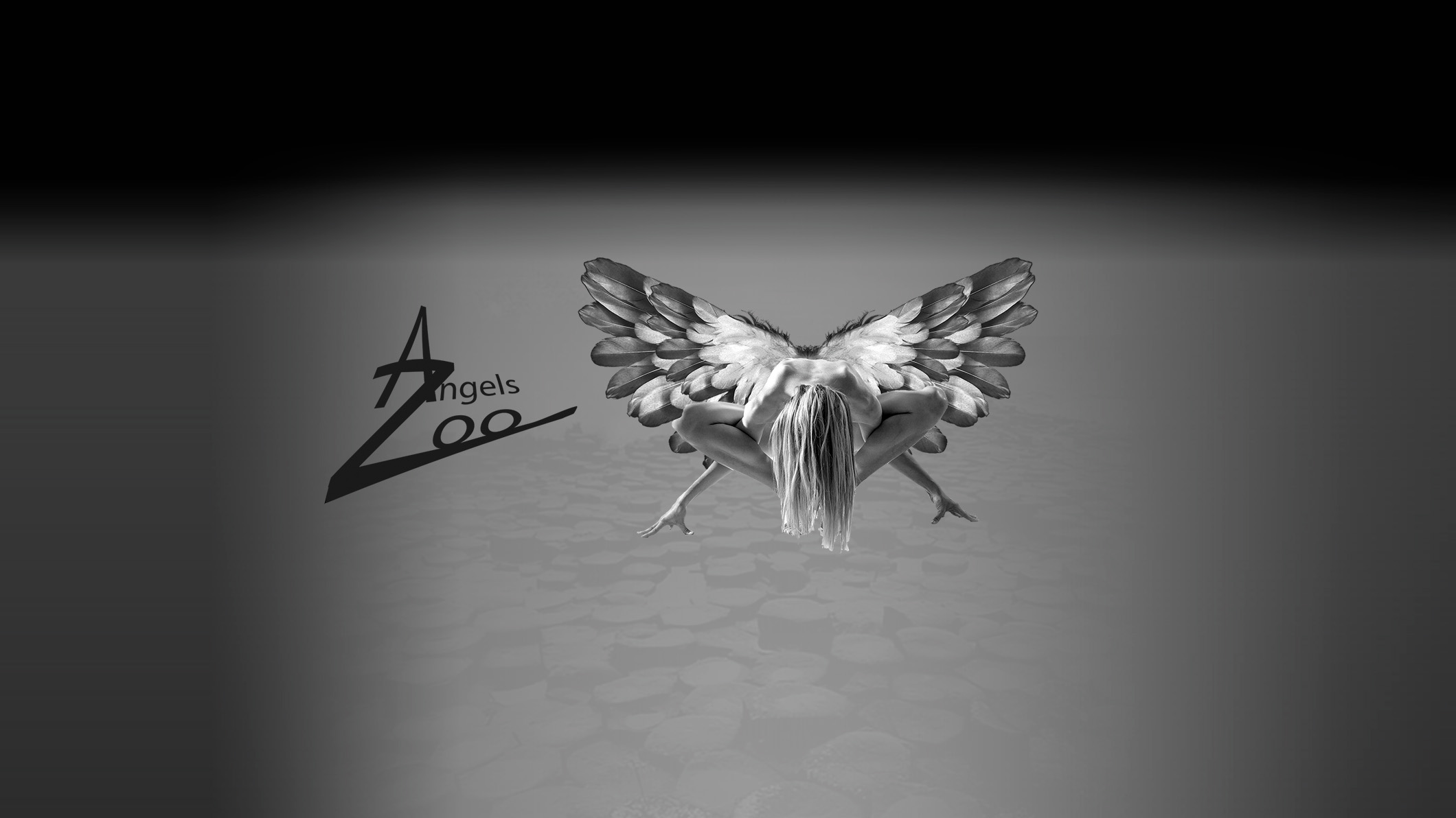 Bannière Angels Zoo